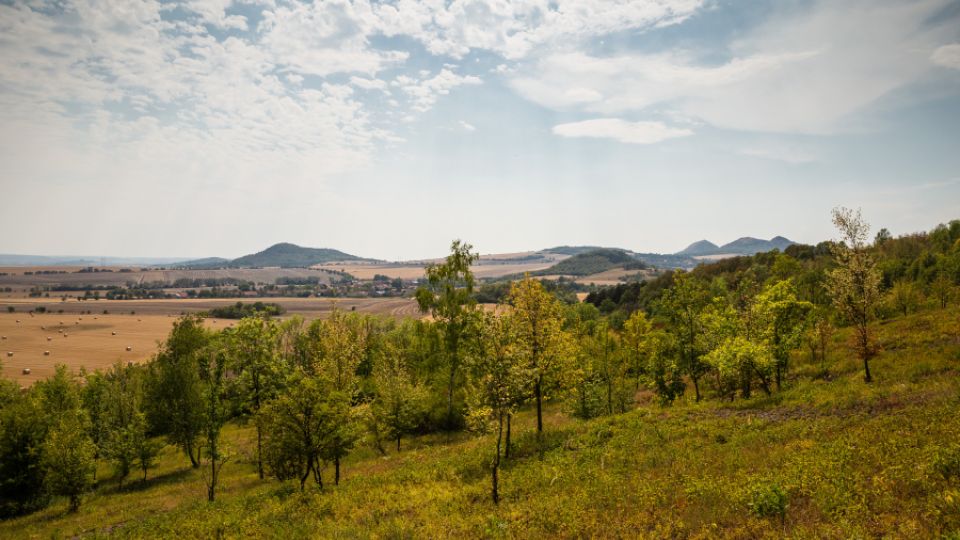 Nature Restoration Law. Ochrana a také obnova toho, co bylo zničeno