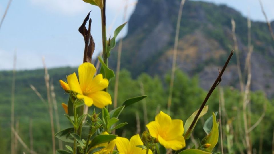 Tým Bořena slaví! Už 40 let chrání vzácnou přírodu Českého středohoří