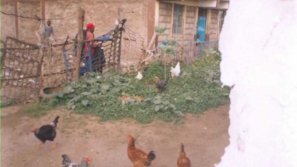 Dandora landfill in Nairobi