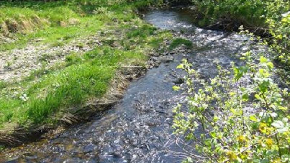 Objevte přirozené bystřiny a potoky Pardubického kraje