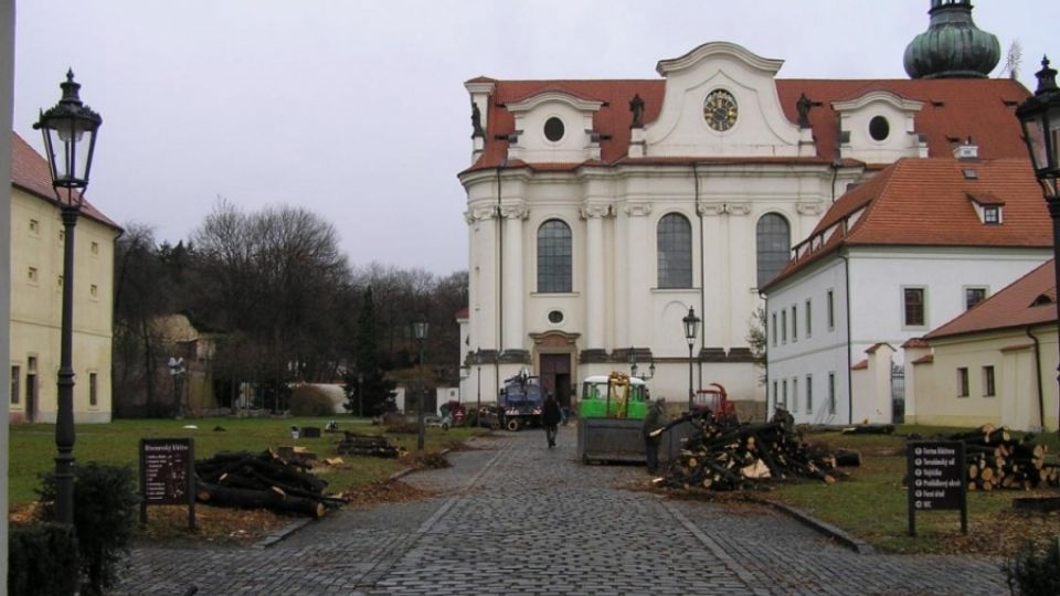 Konference: Ochrana stromů a zeleně ve městech a obcích