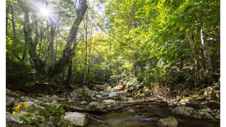 Rivers as natural jewels