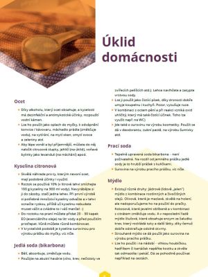 Úklid domácnosti