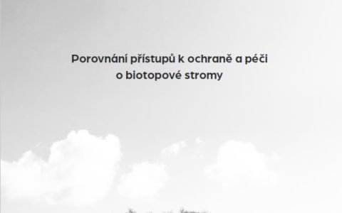 Porovnání přístupů k ochraně a péči o biotopové stromy