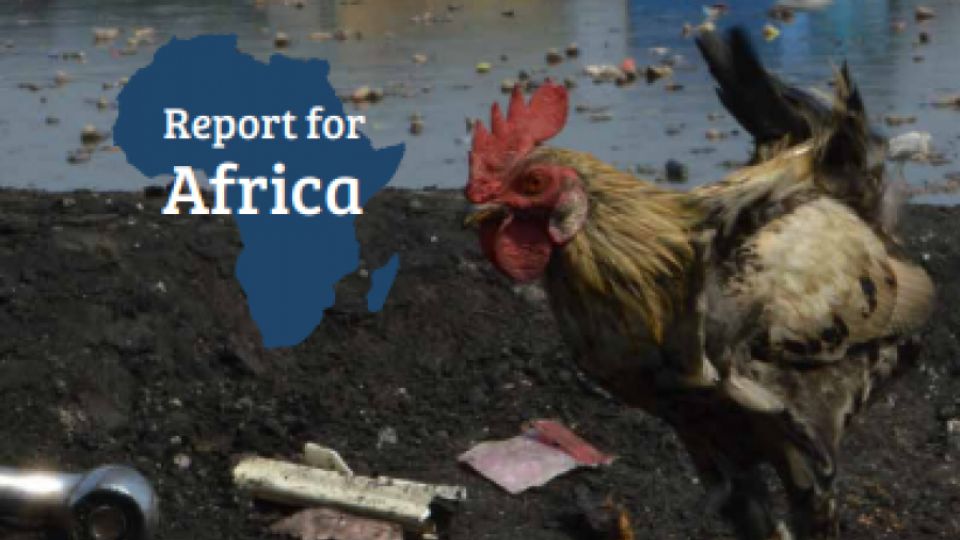 Persistent Organic Pollutants (POPs) in Eggs: Report for Africa