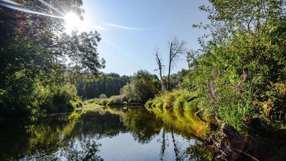 Jak dál s říční krajinou - záznam semináře