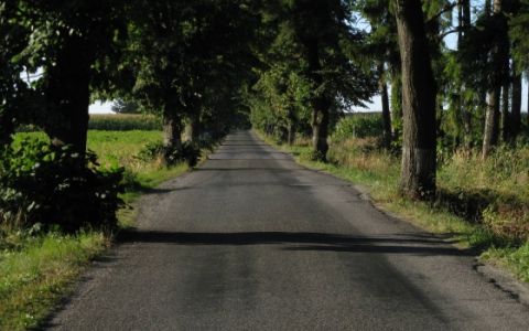 Alej u Žižkovy mohyly na Vysočině