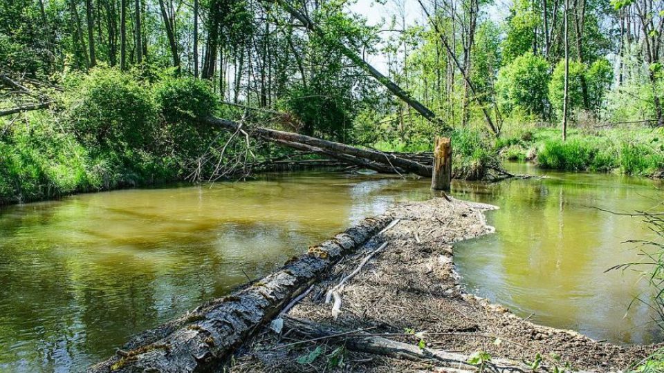 Rakousko kanál Dunaj – Odra – Labe nepodpoří. „Jde o naší budoucnost“, píše ministryně dopravy