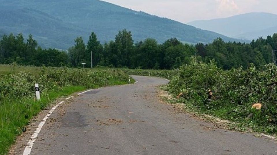 Stromy u silnic vloni na mnoha místech opět mizely. Krajinu už nechrání před dopady klimatické změny