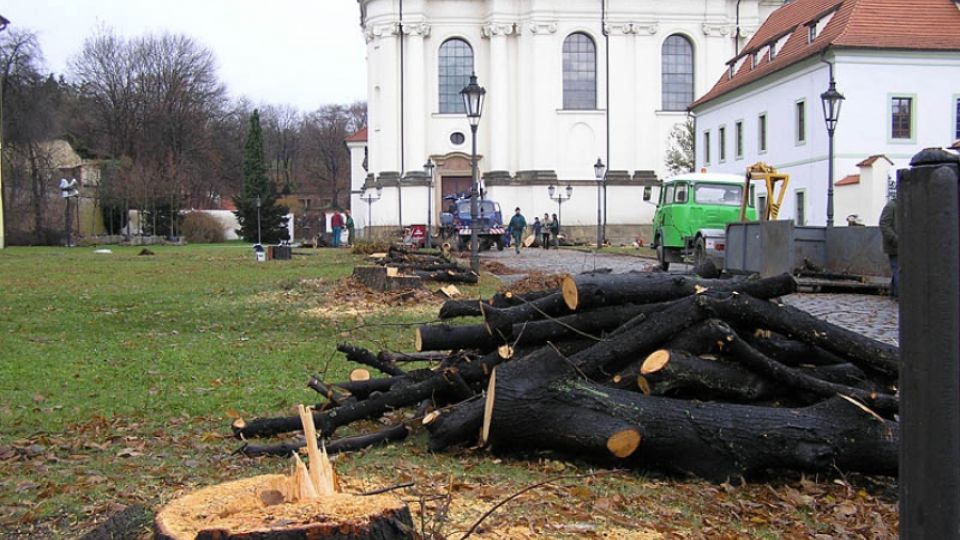 Smutný osud lip v Břevnovském klášteře