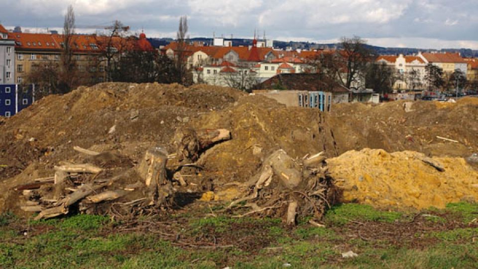 Blanka si vybírá další krutou daň - obavy z mizení zeleně se potvrdily.