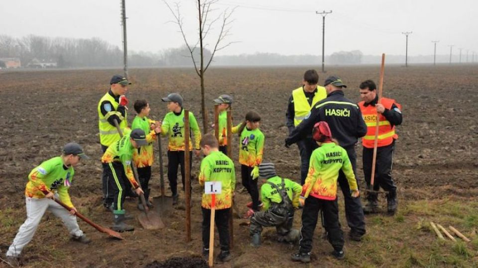 Veřejnost má sázet stromy, při kácení ale musí mlčet