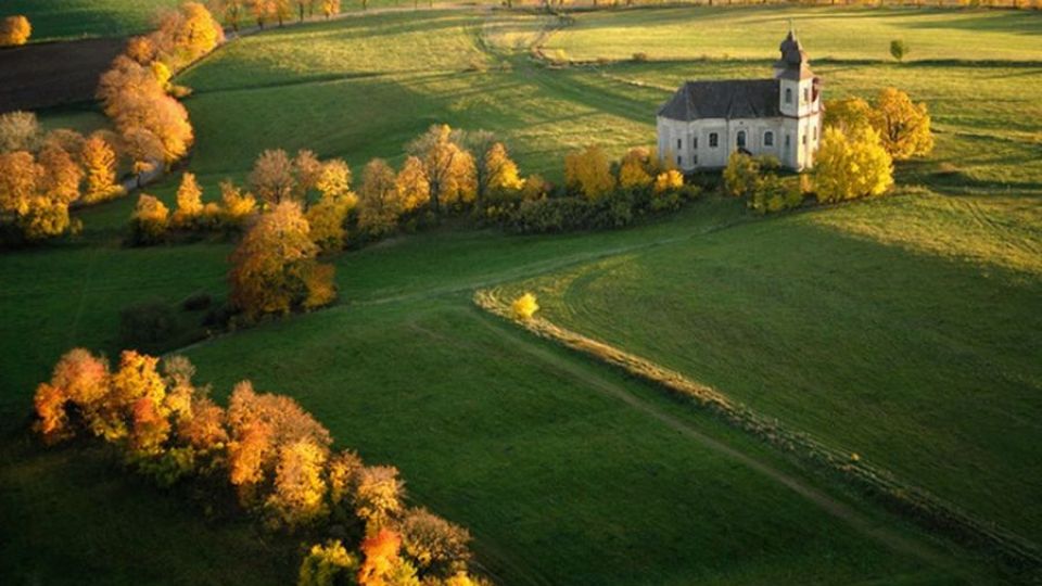 Ochrana stromu - aneb dobrá rada nad zlato