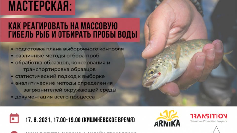 Как реагировать на массовую гибель рыб и отбирать пробы воды