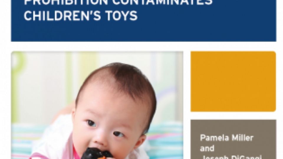 Children’s Toys Contaminated with a Toxic Industrial Chemical that is Recommended for Global Prohibition