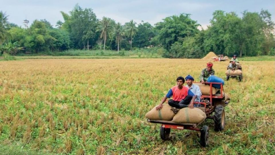 Thai communities battling to end toxic industrial pollution will receive boost: EU and environmental justice groups honour local struggles