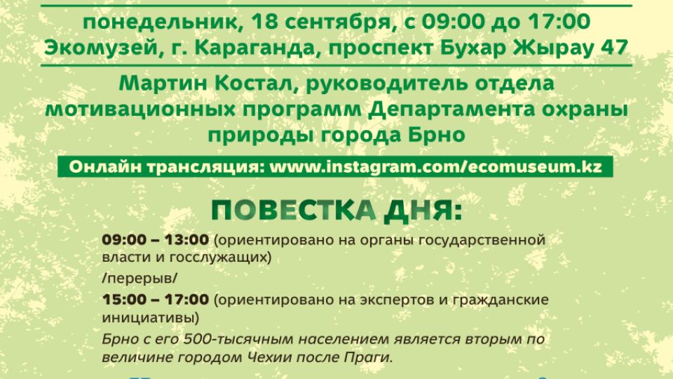 Деревья и зеленые насаждения в наших городах: как их защитить и развивать