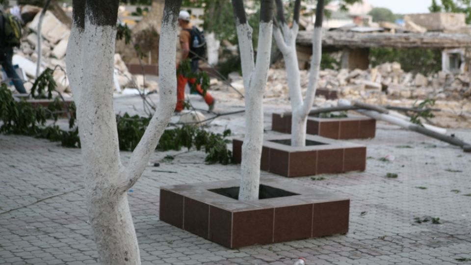 Felling of the trees at Ravil café (Aktau)