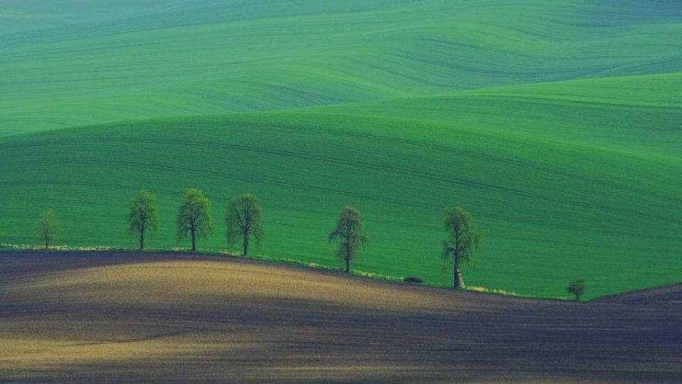 Soutěžte v anketě o nejkrásnější fotografii. Poradíme vám, jak na to