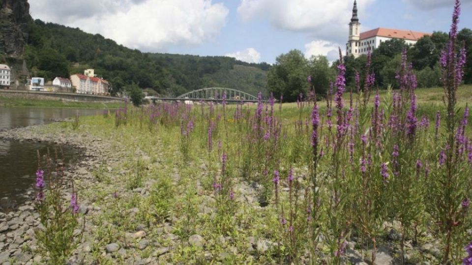 Den Země připomene unikátní přírodu kolem Labe, kterou vláda odmítá chránit