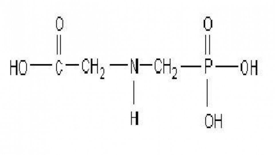 glyfosát