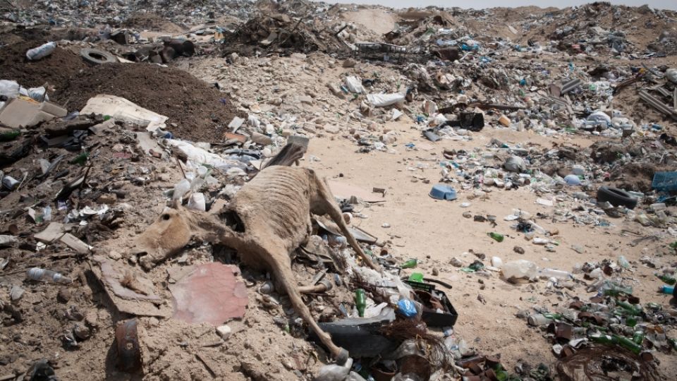 Africké státy chtějí pesticid, který může do budoucna přinést řadu problémů