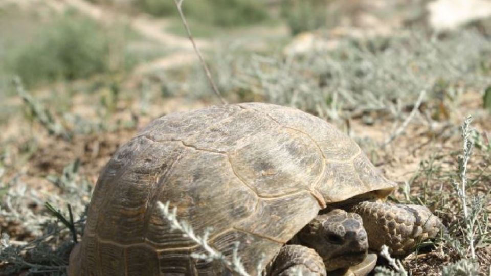 Úředníci využívají recyklovaný papír často jen na toaletách  