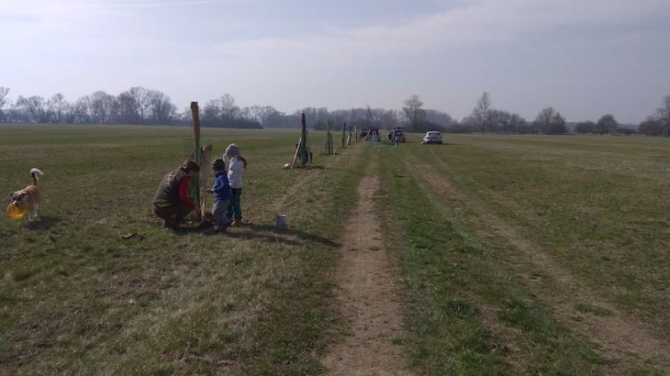 Ochránci přírody v Poodří na podzim připravují výsadbu téměř 400 stromů