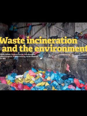 Waste Incineration and the Environment