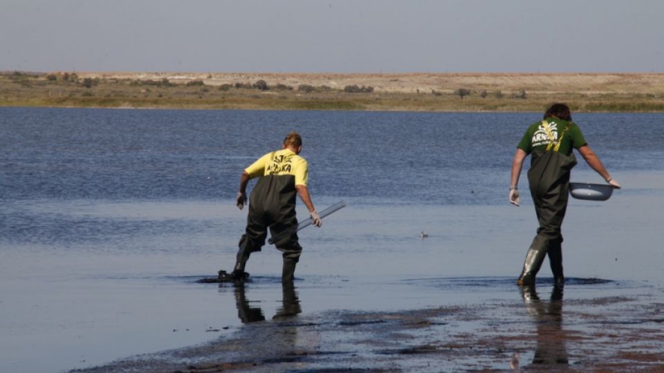 Vláda bude projednávat jezy na Labi