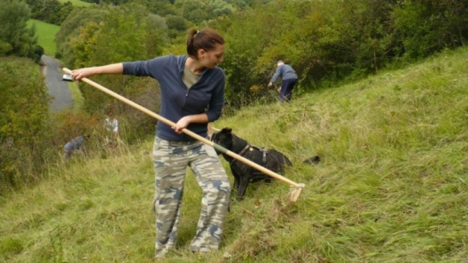 Berou kosy, hrábě, sekery a jedou pomáhat vzácným kytkám pod Lipskou horu. Dobrovolníci z Česka i Německa