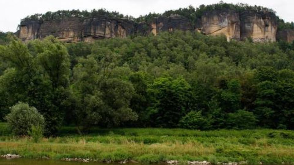 Plavební stupeň Děčín by zlikvidoval nejen úhoře a lososy