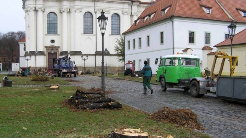 Benediktini vykáceli bez povolení celou alej