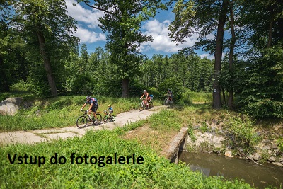 odkaz na fotogalerii