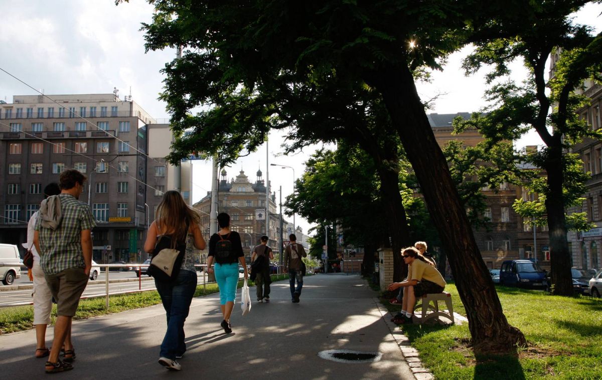 Stromy snižují prašnost a tlumí hluk - foto Arnika