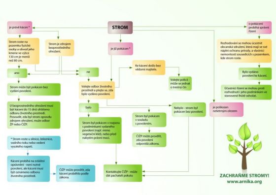 kaceni-schema