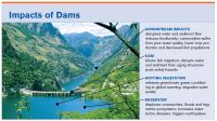 ImpactOfDams